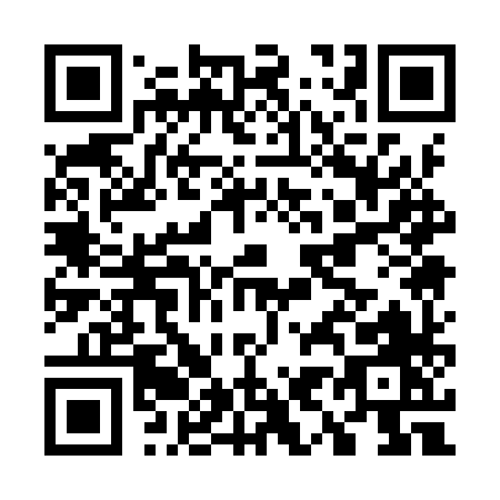QR code for G919X
