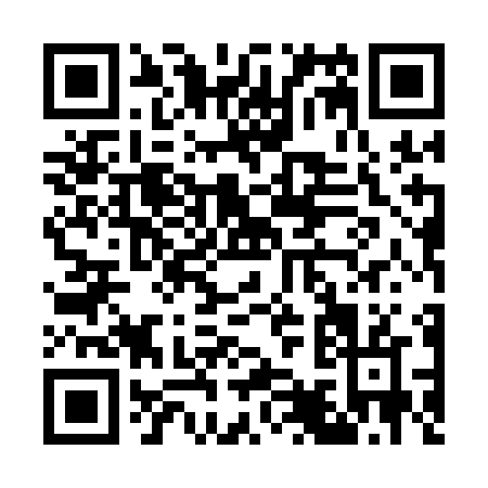 QR code for G951N