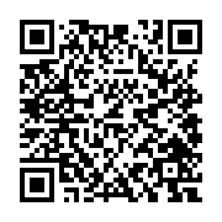 QR code for G969T