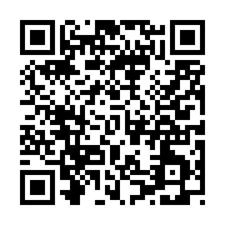 QR code for H004Q