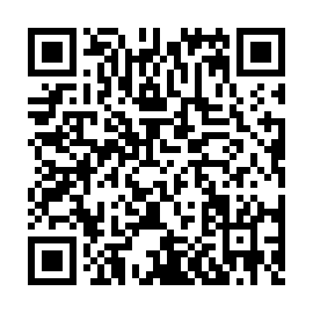 QR code for H017A