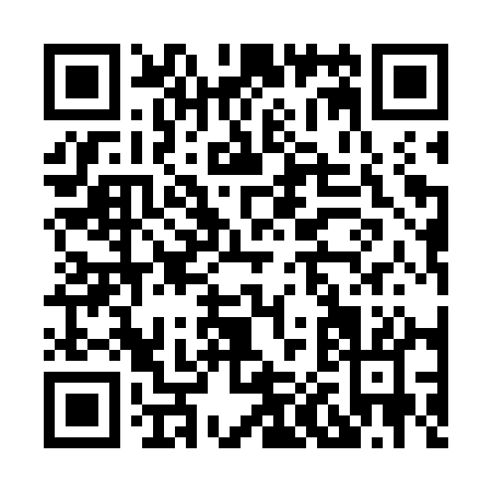 QR code for H017Q