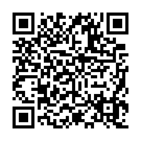 QR code for H017V