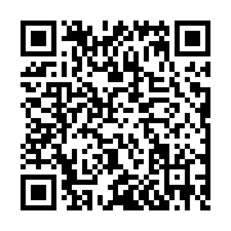 QR code for H020P