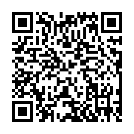 QR code for H038S