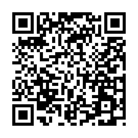 QR code for H065N