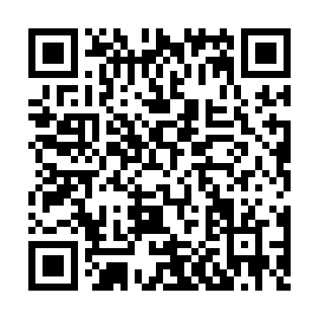QR code for H081N