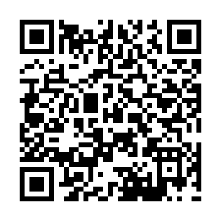 QR code for H087P