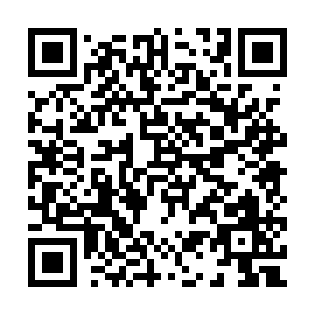 QR code for H101Q