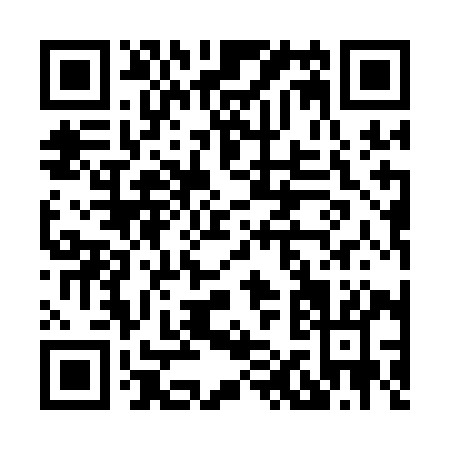 QR code for H111I