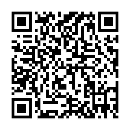 QR code for H111U