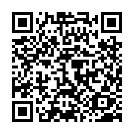 QR code for H113CZ