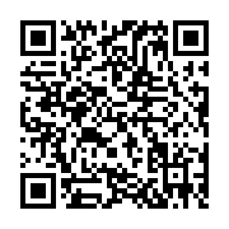 QR code for H113J