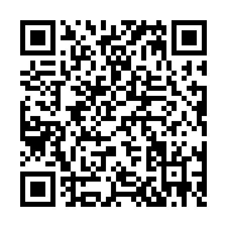 QR code for H113L