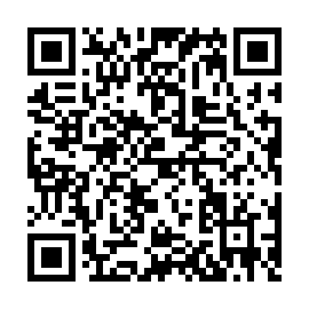 QR code for H113N