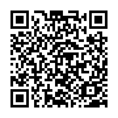 QR code for H113UU