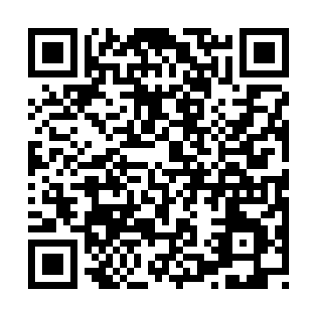 QR code for H113X