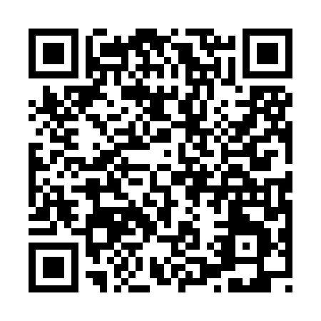 QR code for H118L