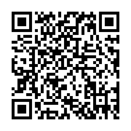 QR code for H118T