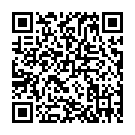 QR code for H141P
