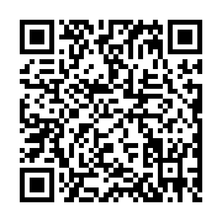 QR code for H161K