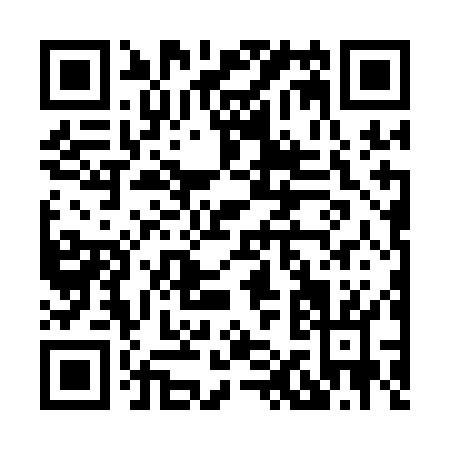 QR code for H161O