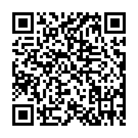 QR code for H161Y