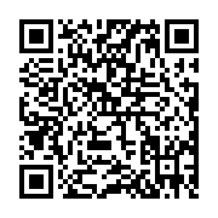 QR code for H163I