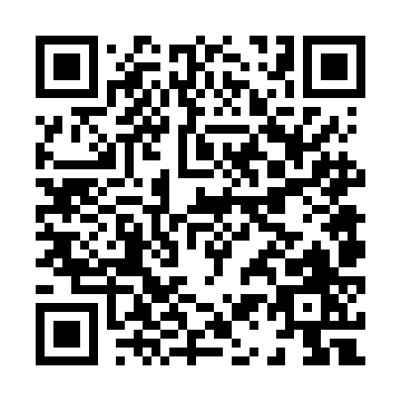 QR code for H166J