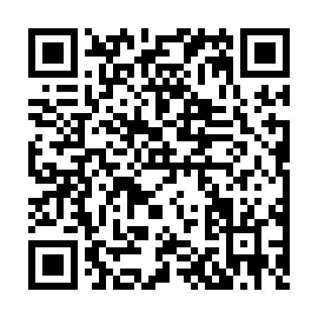 QR code for H171L