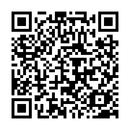 QR code for plate H17 3SM
