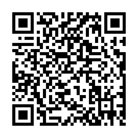 QR code for H173T