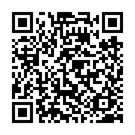 QR code for plate H17 6ZS