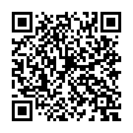 QR code for plate H19 5PV