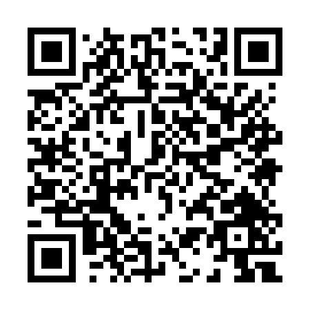 QR code for H196T