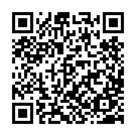 QR code for H20 4MT
