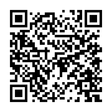 QR code for H204E