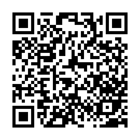 QR code for H210X