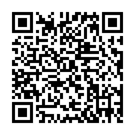 QR code for H213X