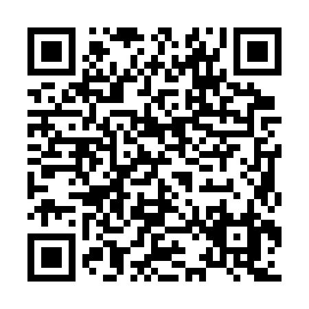 QR code for H213Z