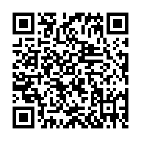 QR code for H217M