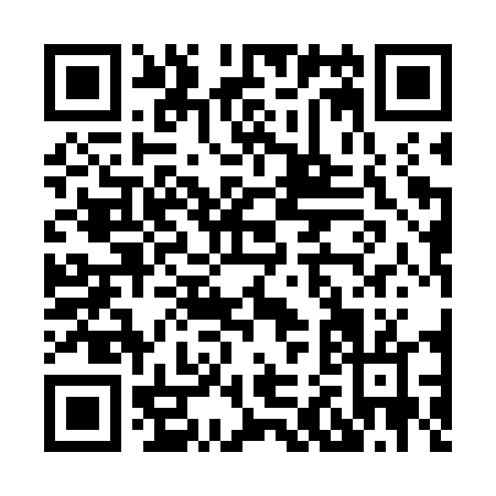 QR code for H217T