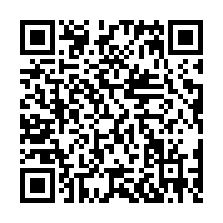 QR code for H217V