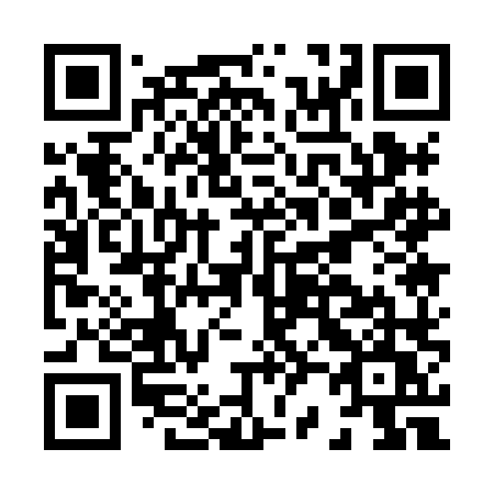 QR code for H218LU