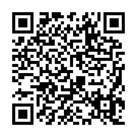 QR code for H219V