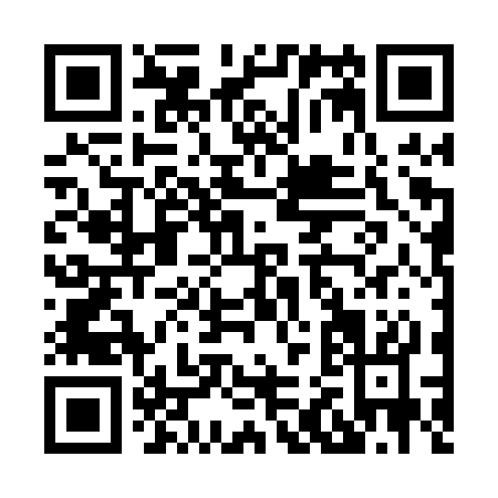 QR code for H220S