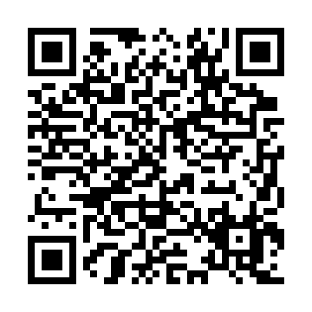 QR code for H223P