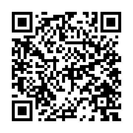 QR code for H225T