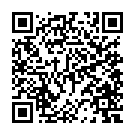 QR code for H228H