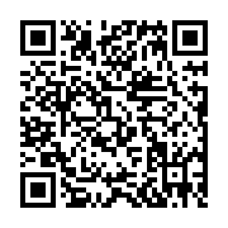 QR code for H228M